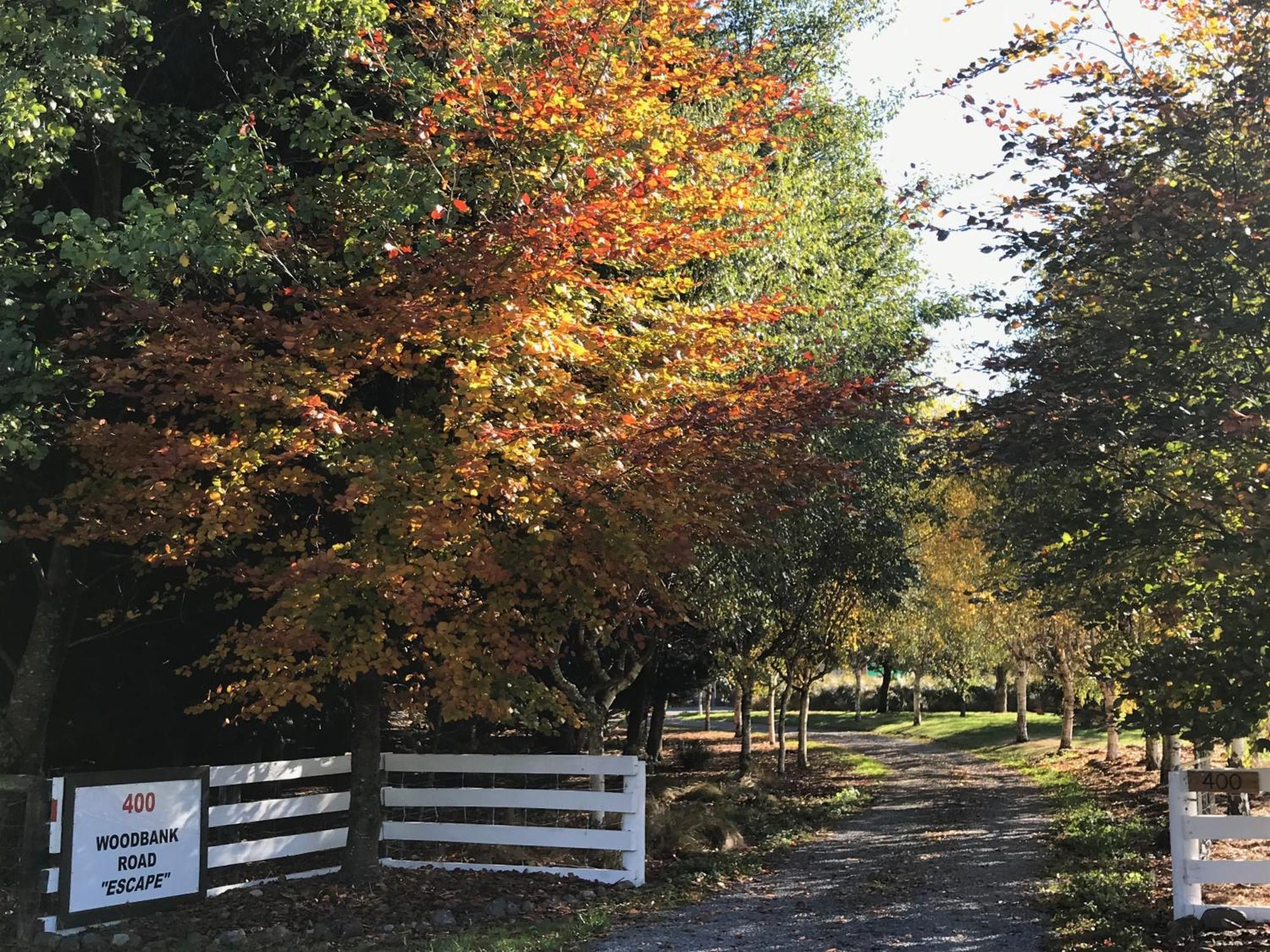 Woodbank Road Escape Villa Hanmer Springs Exterior foto